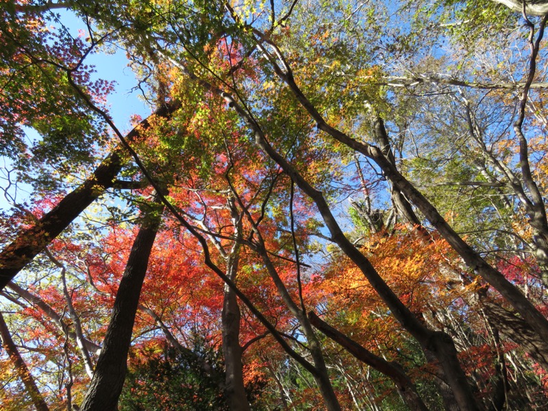 奥久慈・男体山